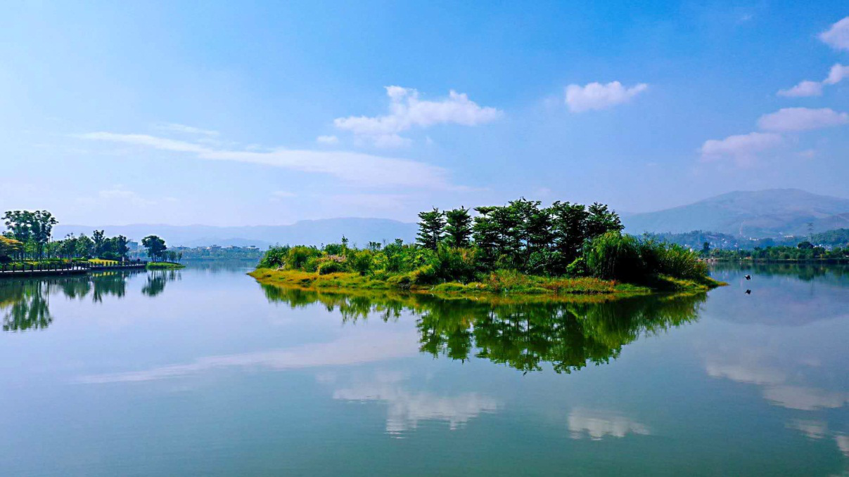 图为南洞河生态治理效果